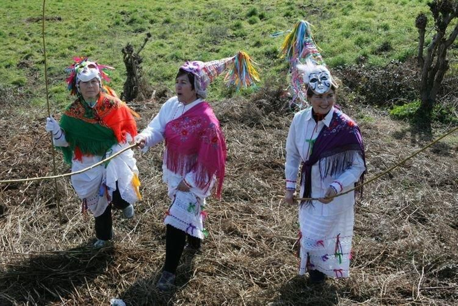 17.02.15.CARTELLE.AS.CURRUXEIRAS.O.MECO.