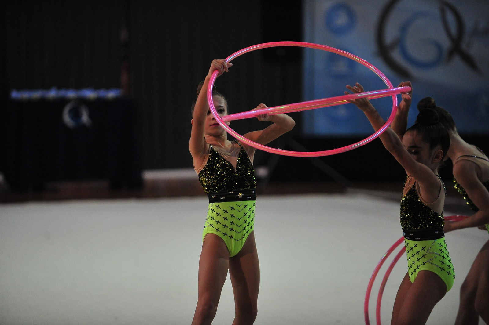 Las artistas del tapiz volvieron a brillar en el Campeonato Base de Gimnasia