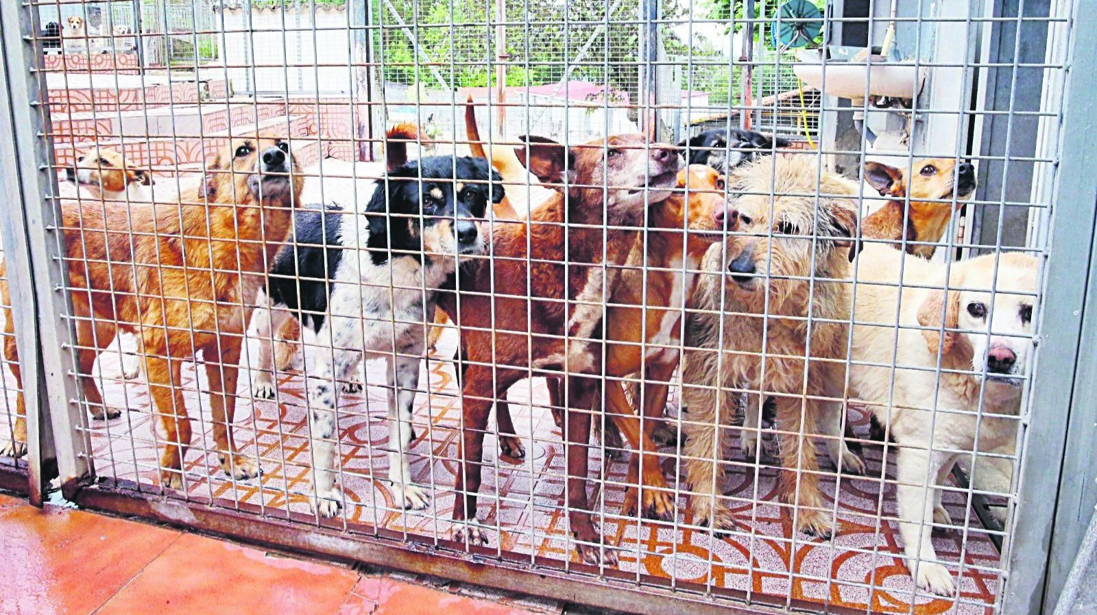 Imagen de archivo de un refugio de Vigo.