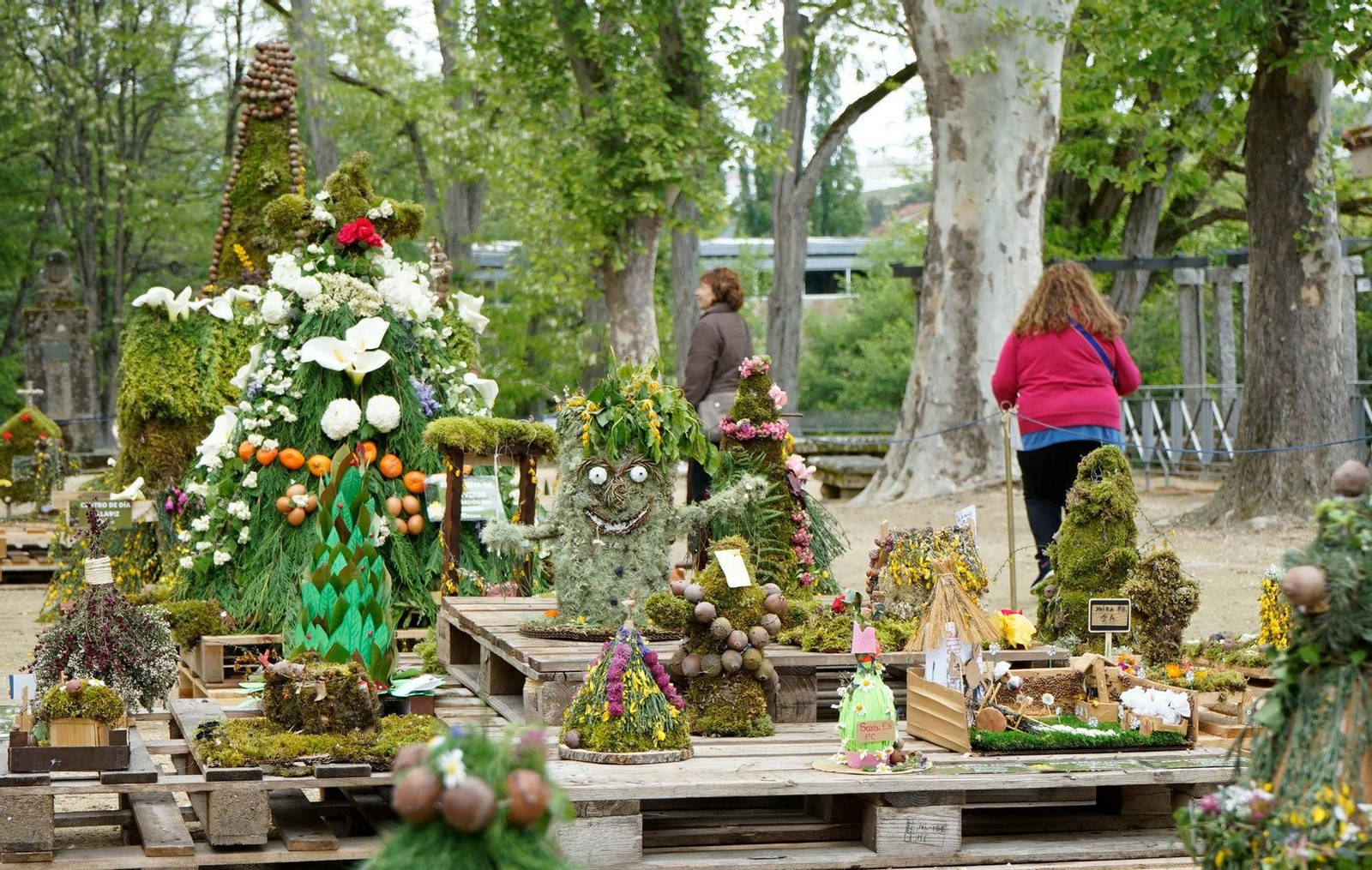 Uno de los maios con una cara.