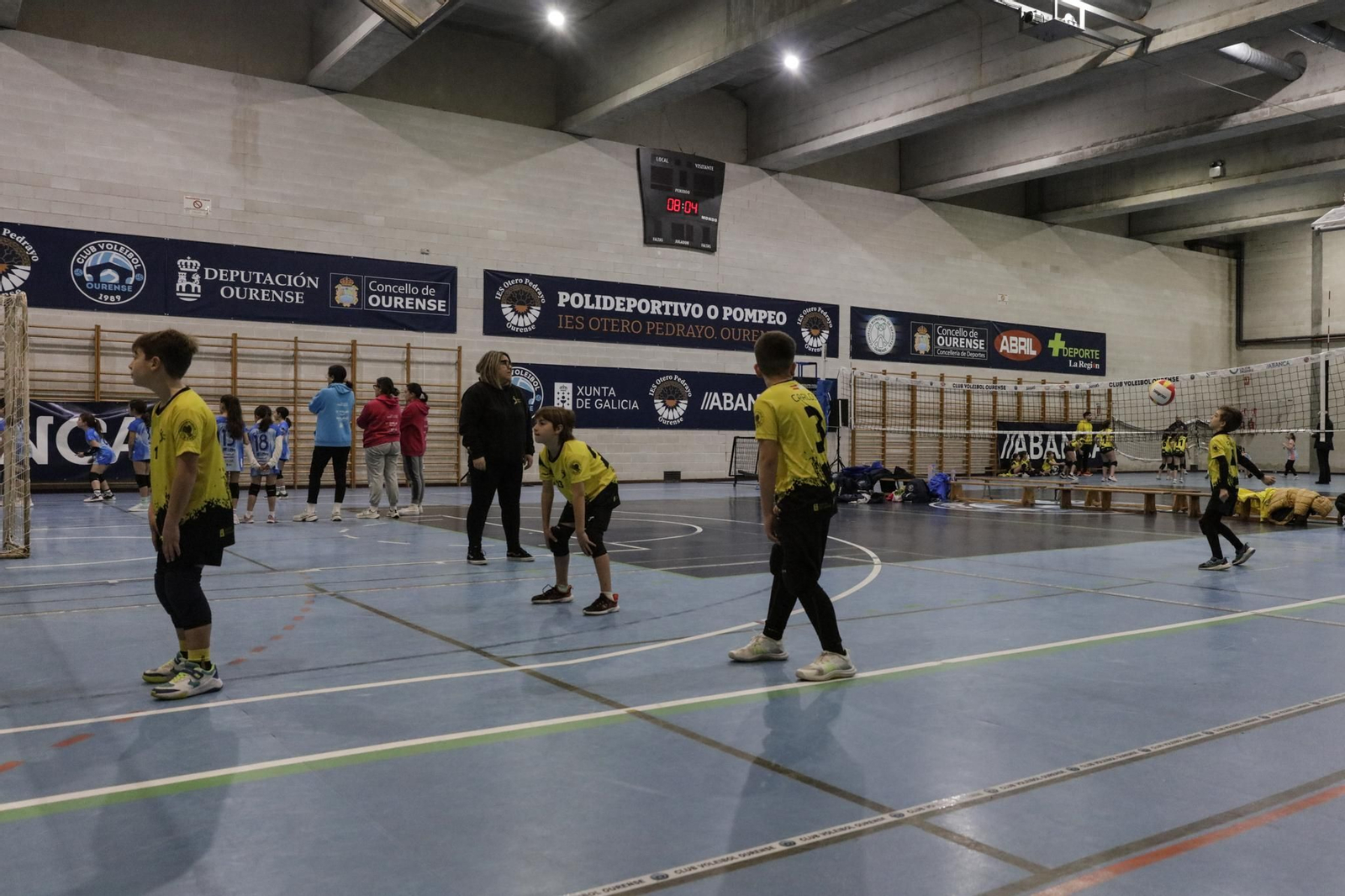 Galería | Voleibol, en fotos