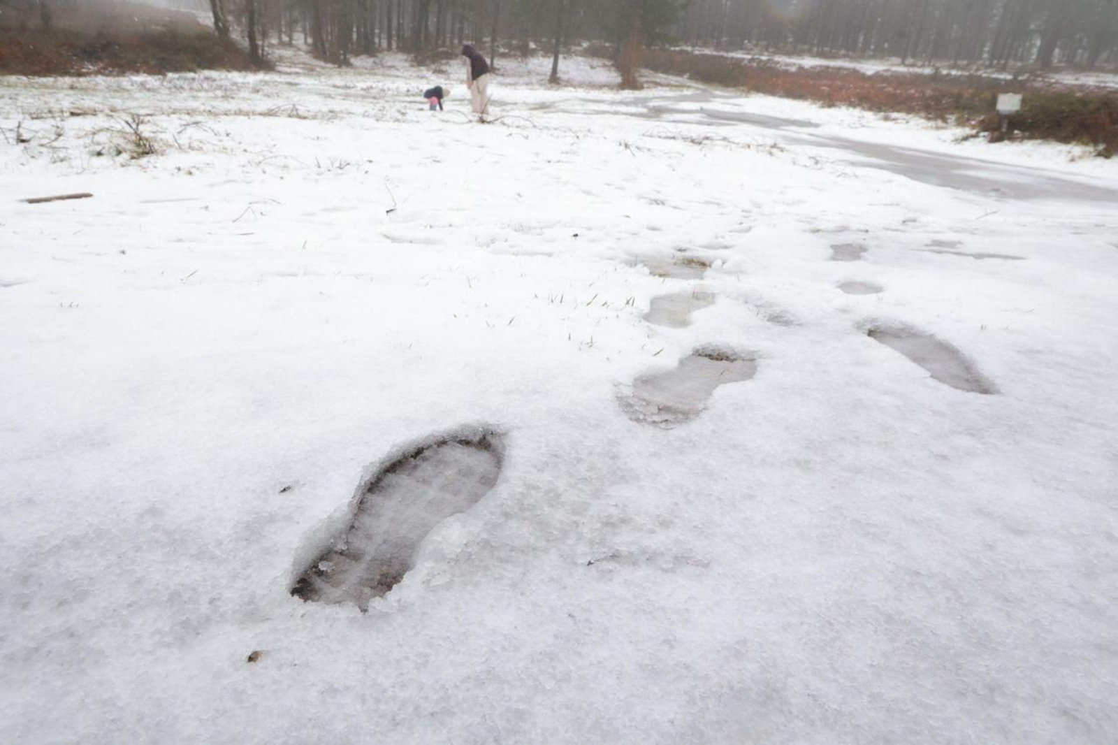 Galería | Los estragos de la borrasca Ingrid en Vigo y su área
