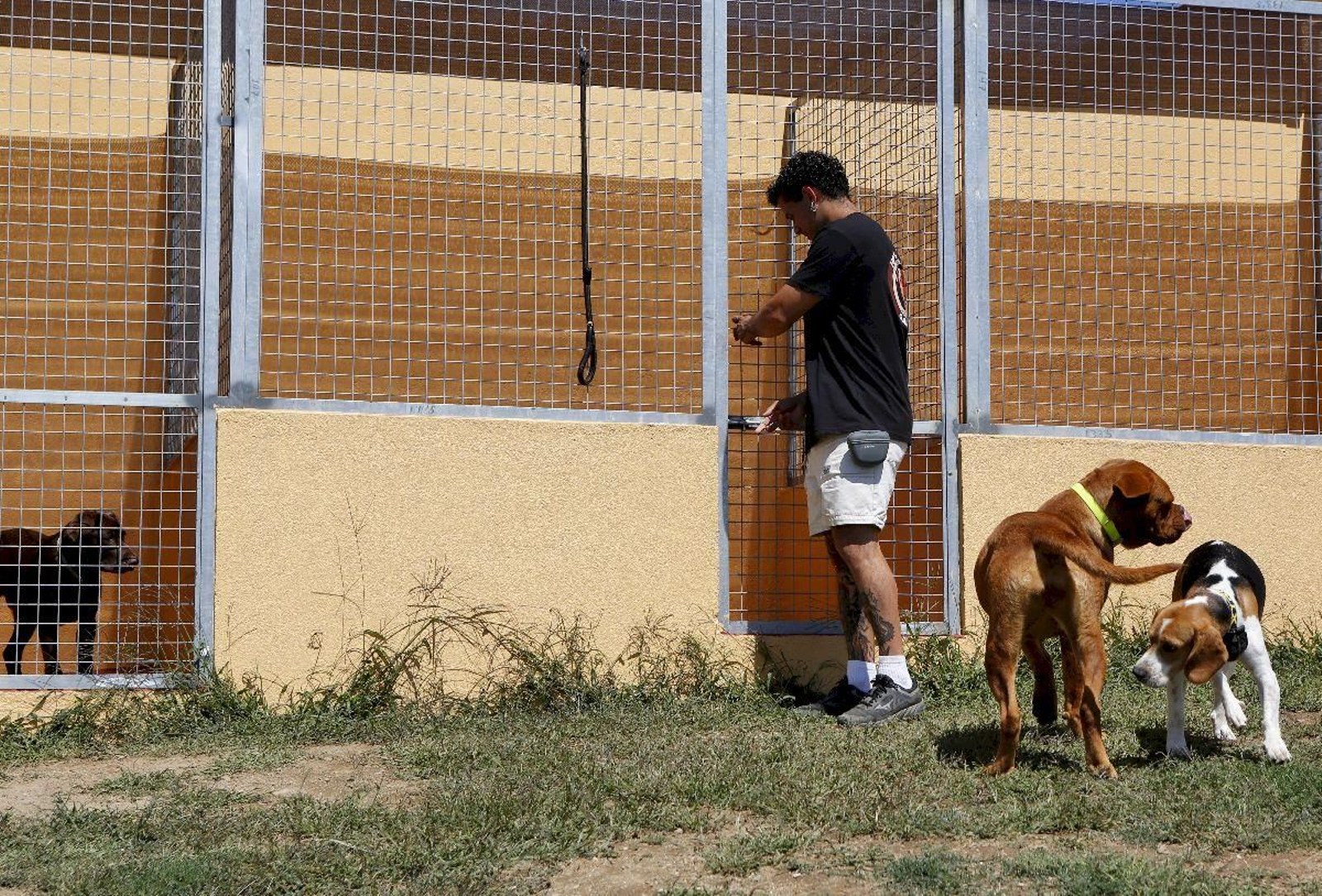 Albergue canino de A Peroxa.