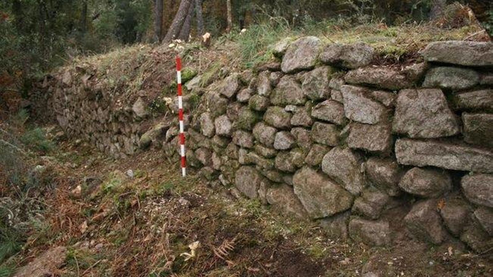 uploaded_cameixa_result