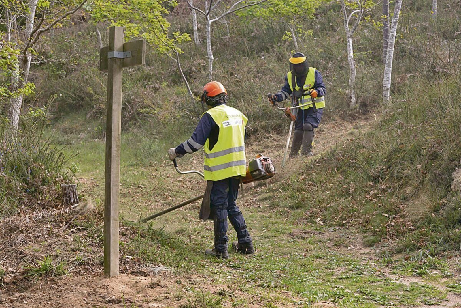 Operarios realizando tareas de limpieza de la biomasa en un monte de Vigo.