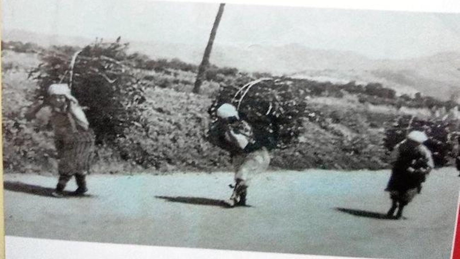 20190616164424054_result