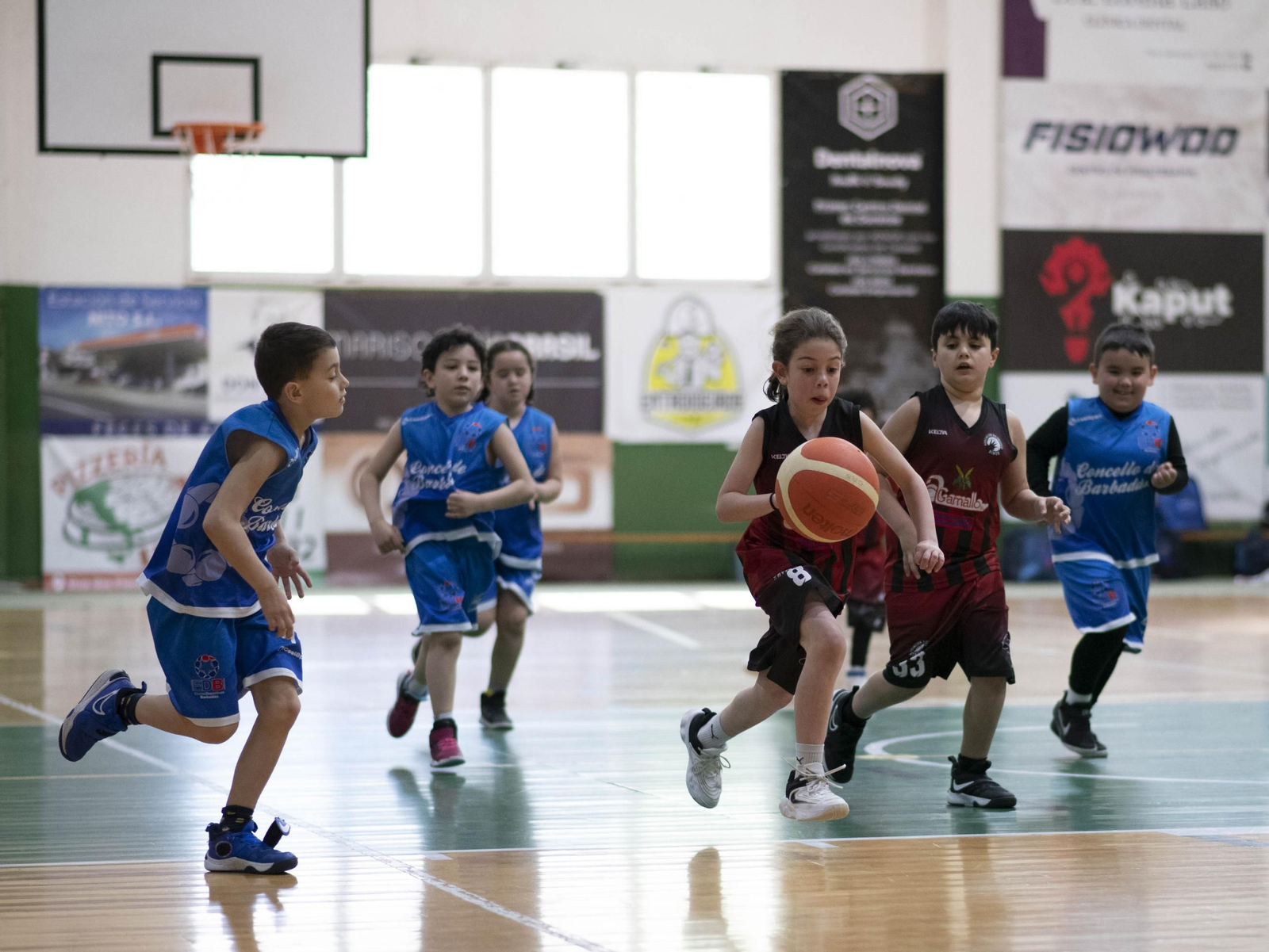 Galería | Concentración de Minibasket en Verín