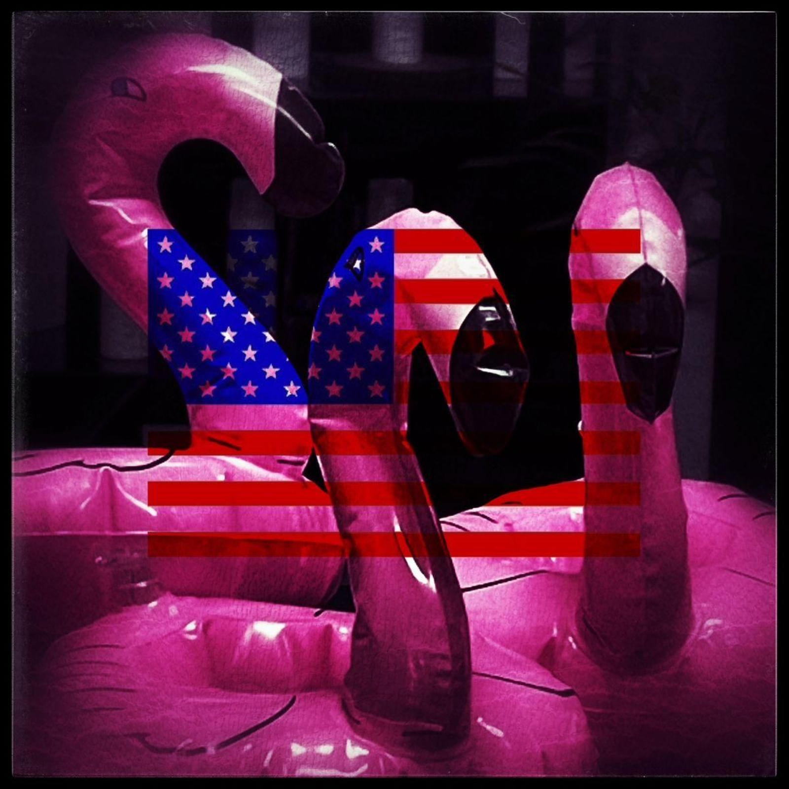 Trump, el cisne negro