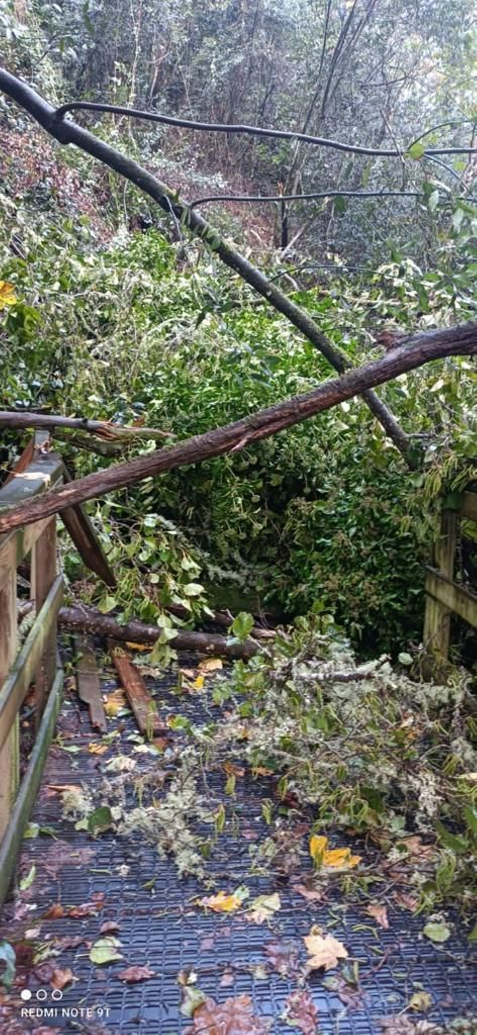 Destrozos de Domingos