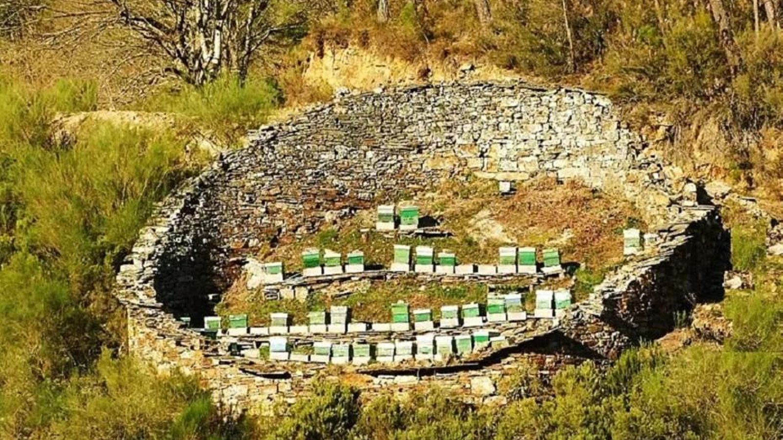 Una alvariza (o abellariza) es una construcción tradicional gallega, típica de las zonas de montaña como Ancares y Courel.