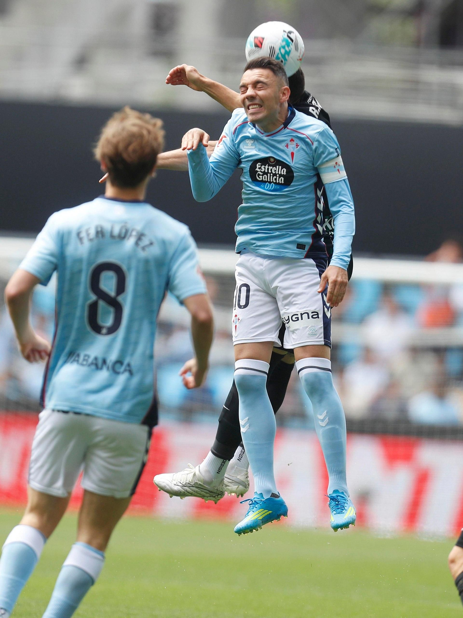 Aspas en acción.