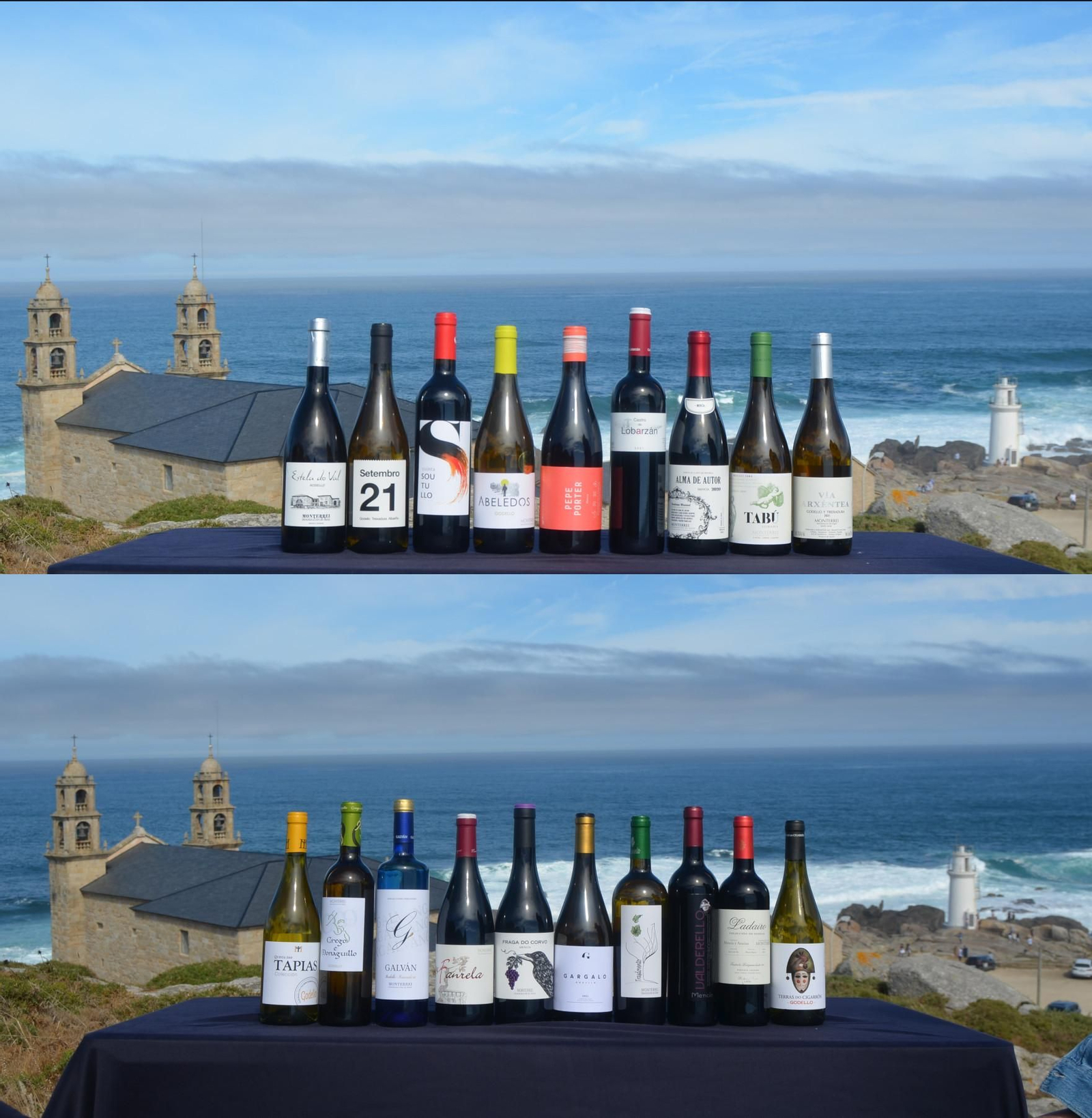 Vinos que se promocionaron.