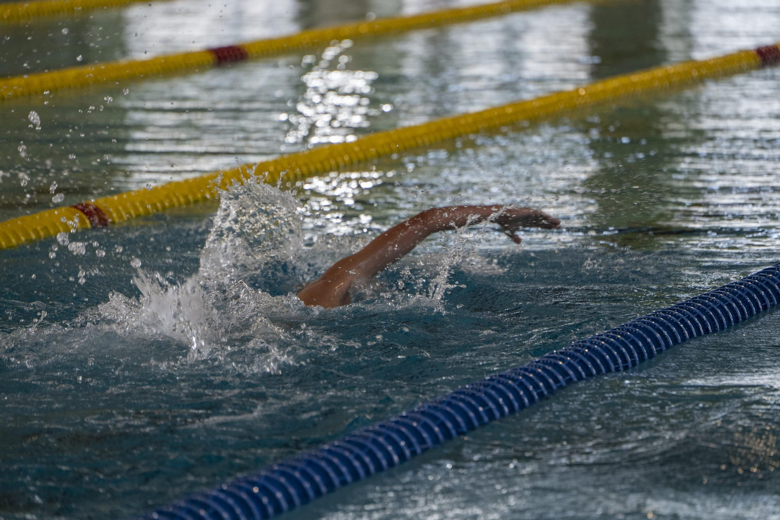 El CN Pabellón logra un triplete de alegrías en casa durante el Campeonato Gallego de natación