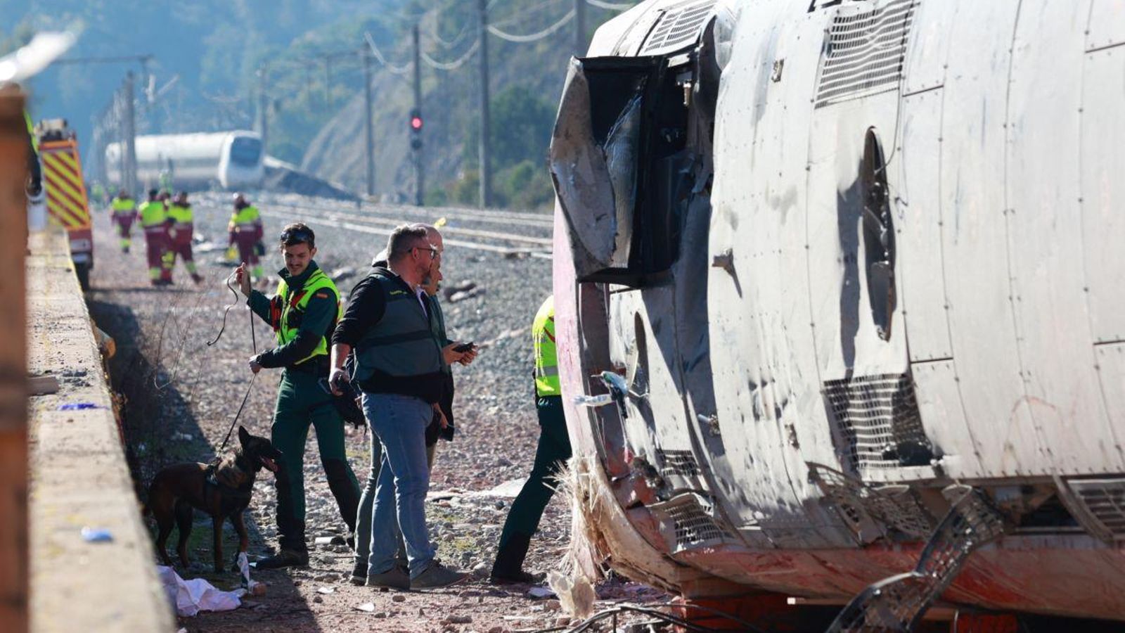 Agentes con perros trabajan en el lugar del accidente.