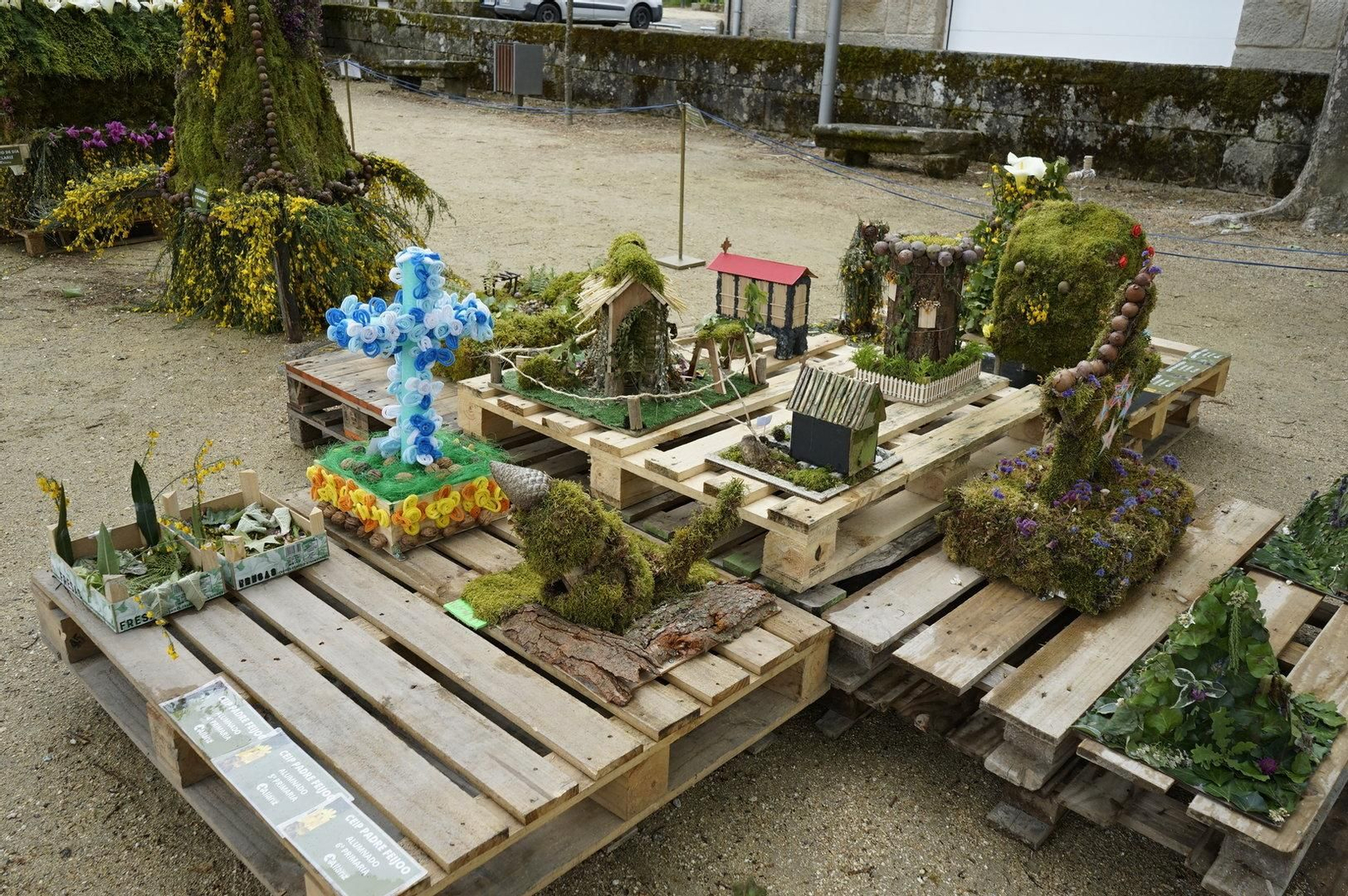 Conjunto de varios maios.