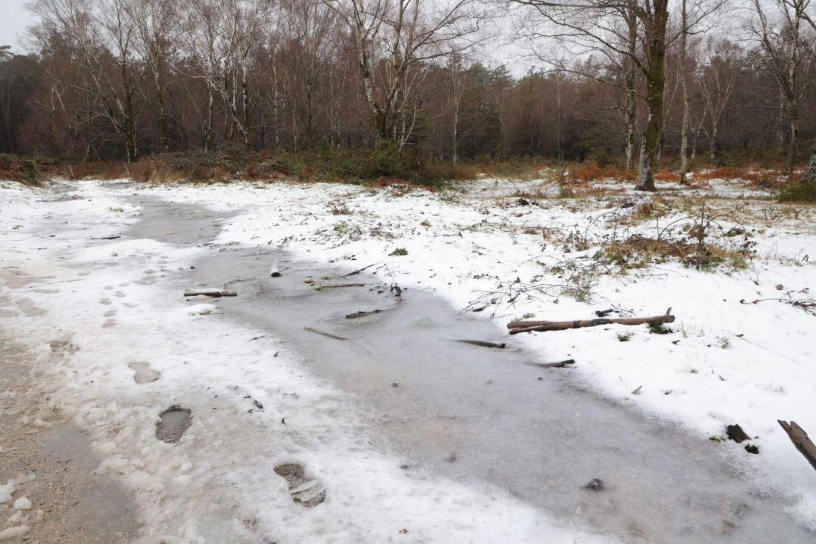 Galería | Los estragos de la borrasca Ingrid en Vigo y su área