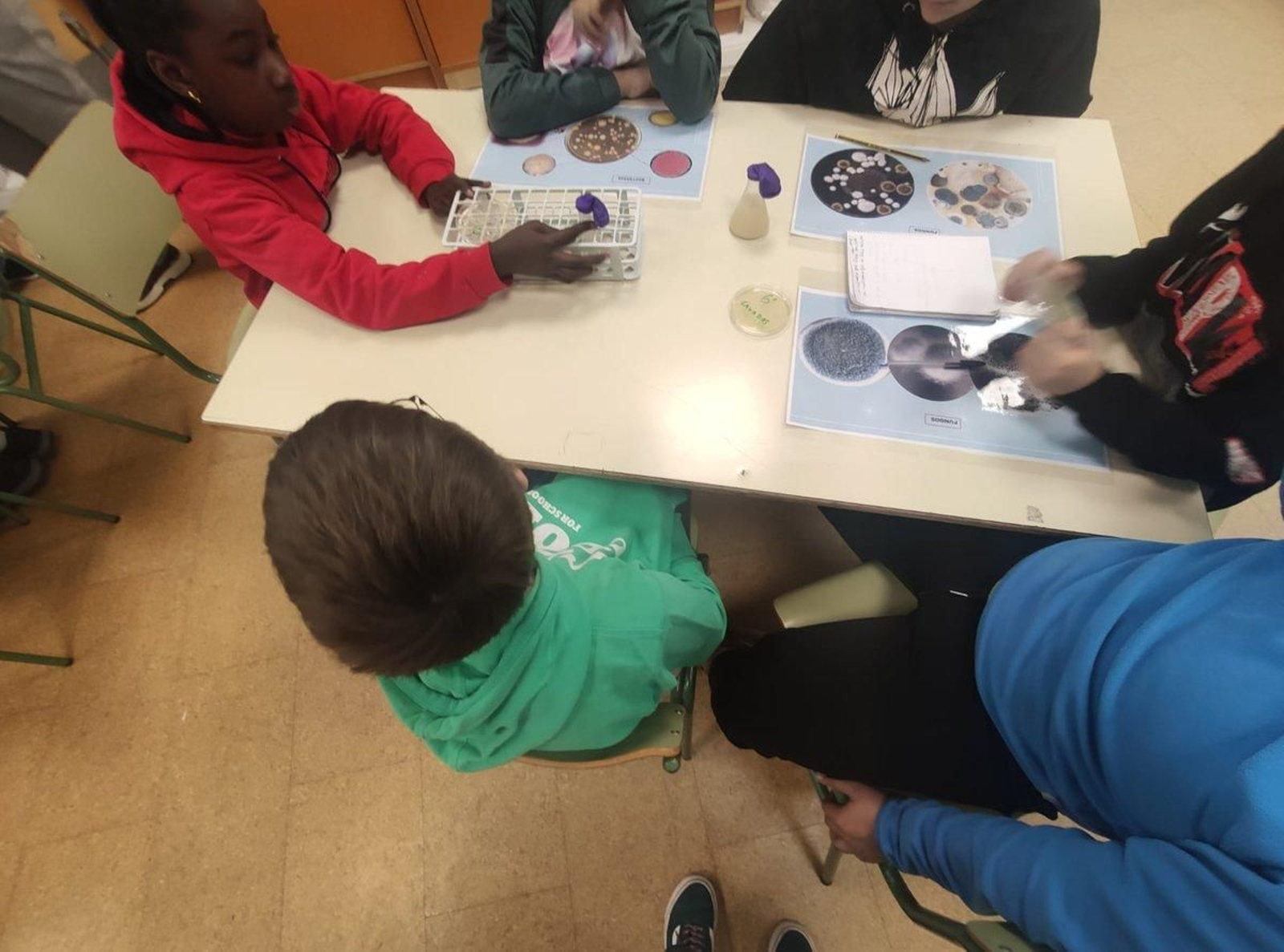 A proposta científica deste ano centrouse no mundo da microbioloxía.