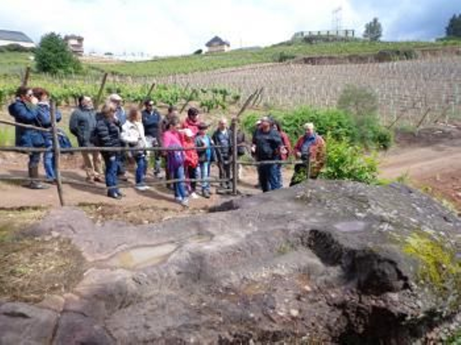 Visita a los petroglifos de Córgomo.