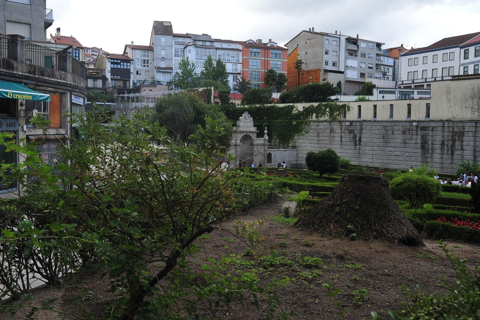 El tocón de una de las palmeras más emblemáticas de Ourense situada junto a las Burgas.
