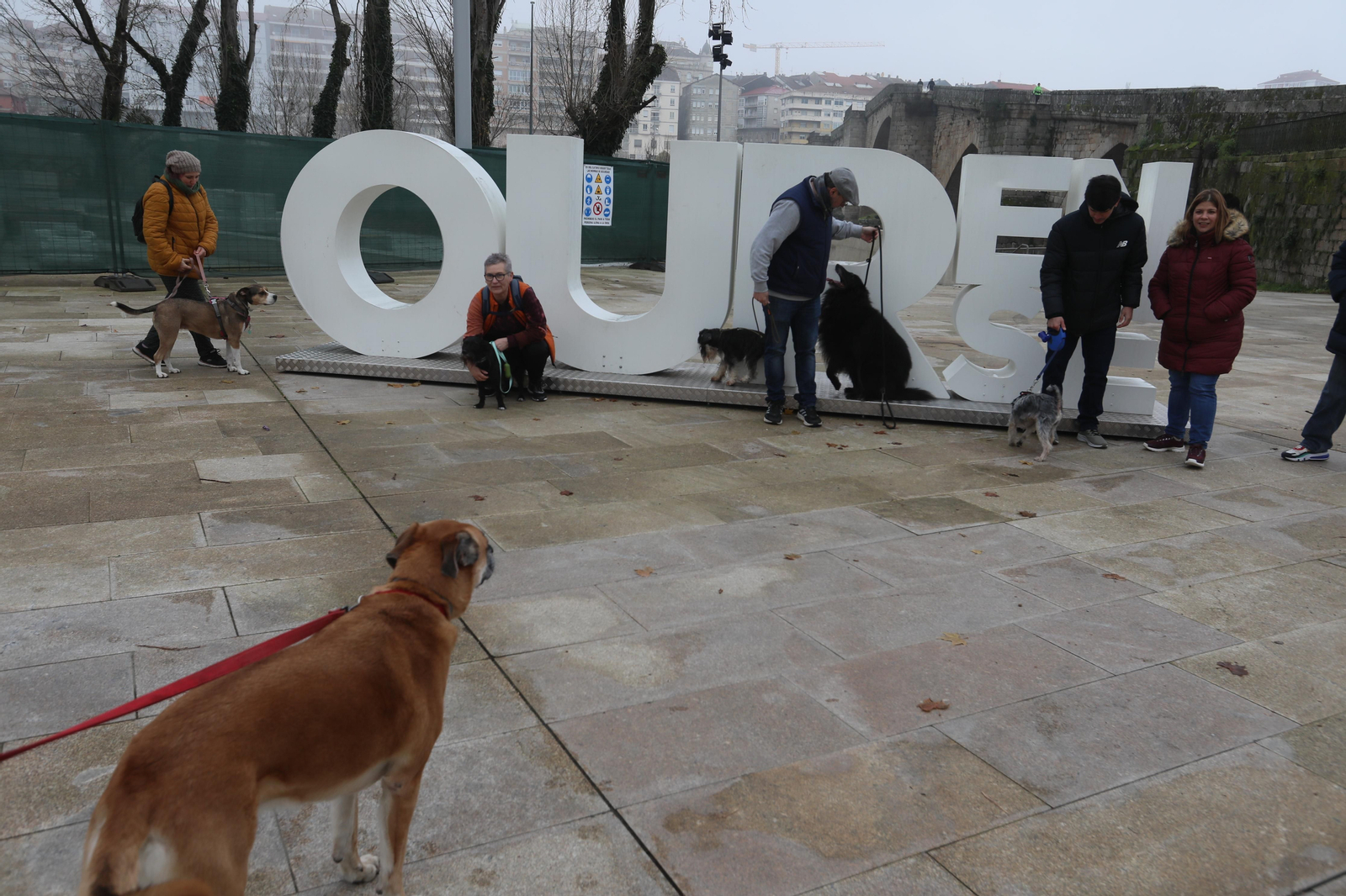 OURENSE 22/01/20223.- Andaina perruna por la ciudad. José Paz