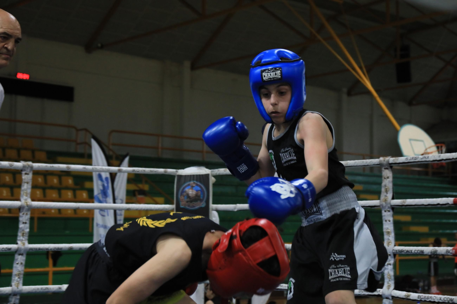 Galería | Verín disfruta de su primer Open de Boxeo