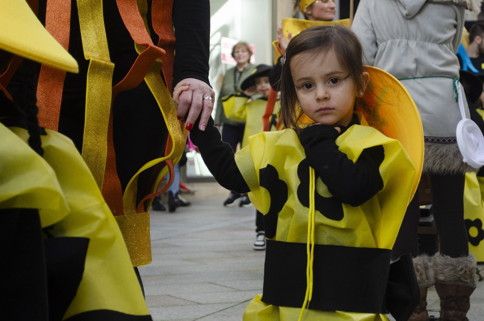 Galería | Las calles de Carballiño se llenan de color con el desfile escolar de Entroido