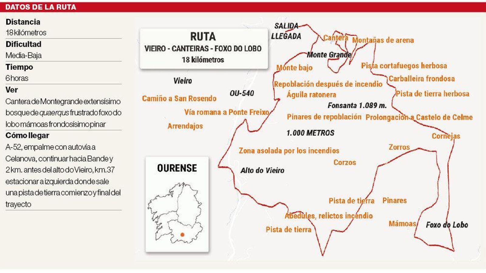 ruta chicho