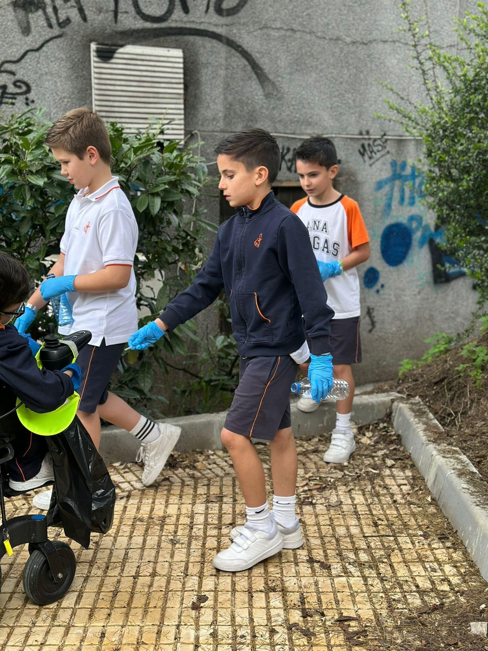 Actividad de Ecovigilantes