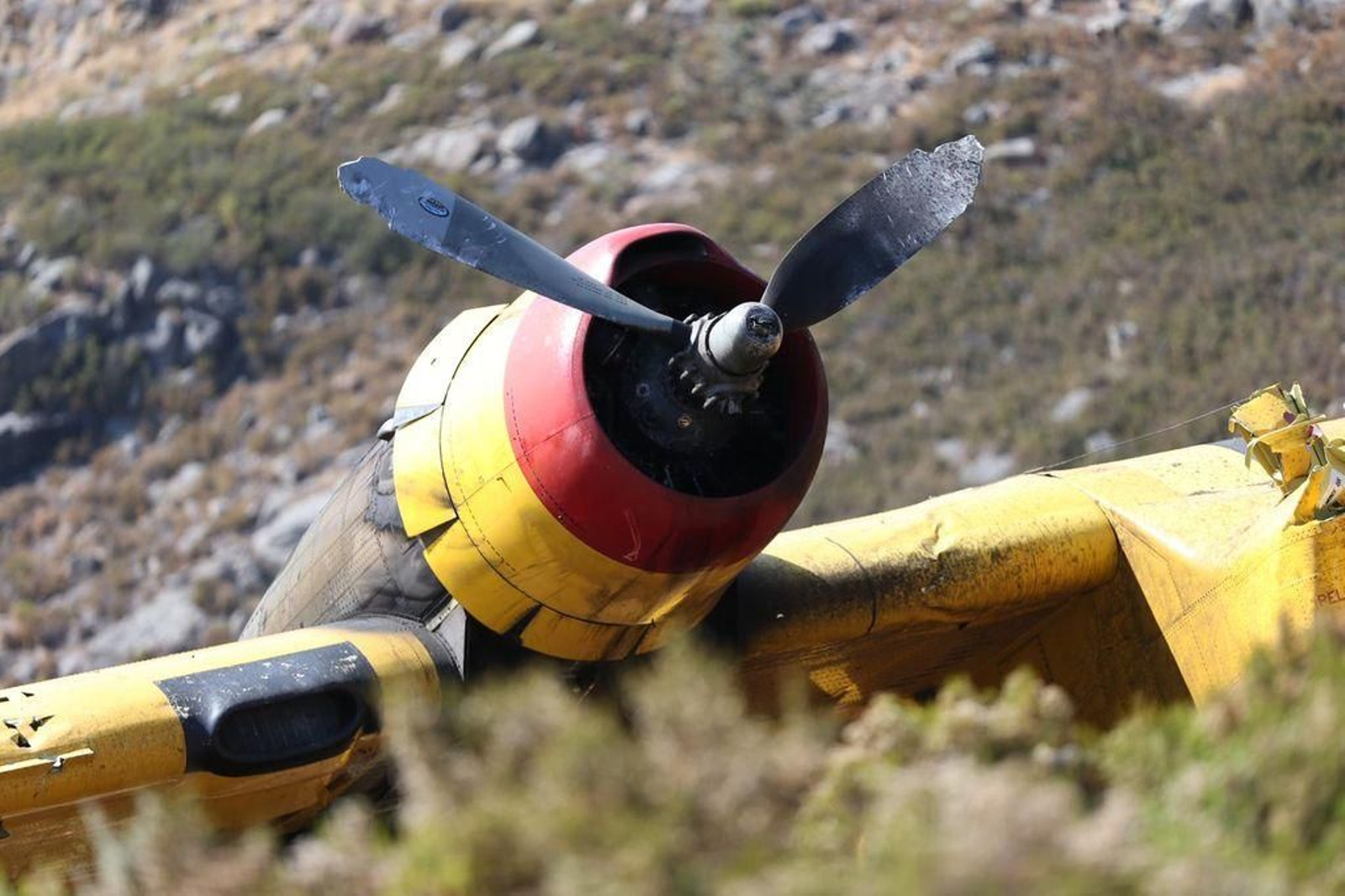 Incendios en Ourense 14