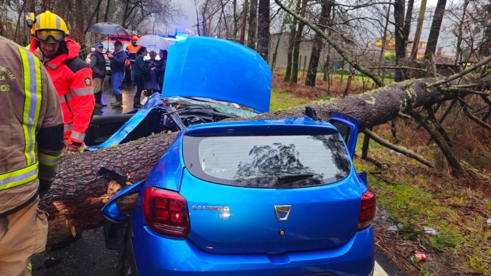 Servicios de emergencia atendiendo a la joven herida al caer un árbol sobre su coche.