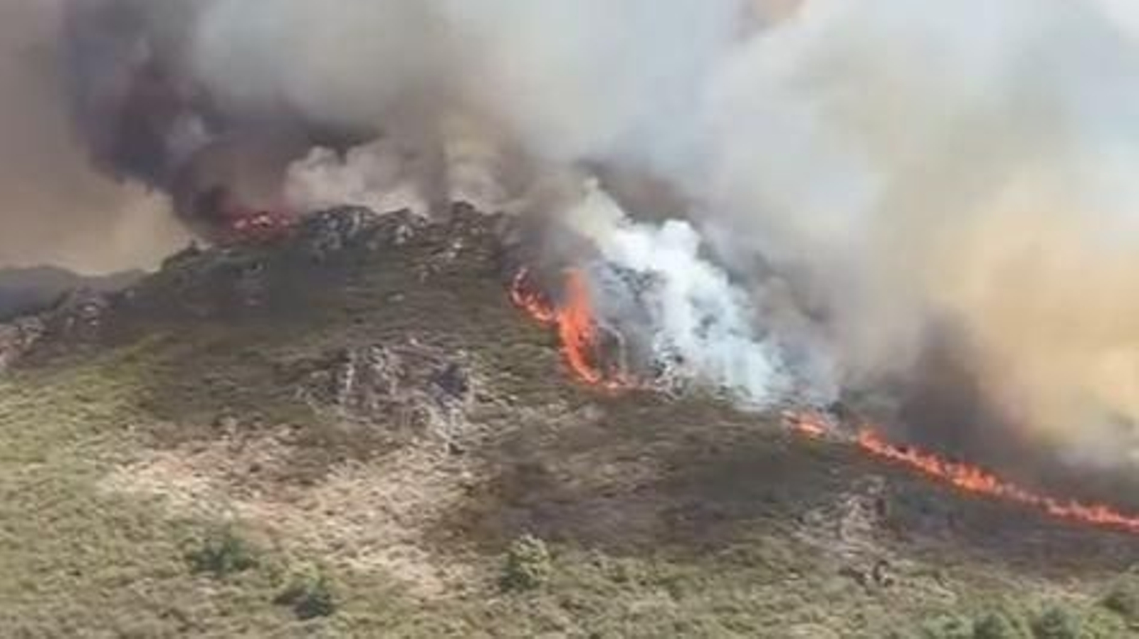 Efectivos de la BRIF de Laza trabajan en la extinción del incendio forestal declarado en Calvos de Randín.