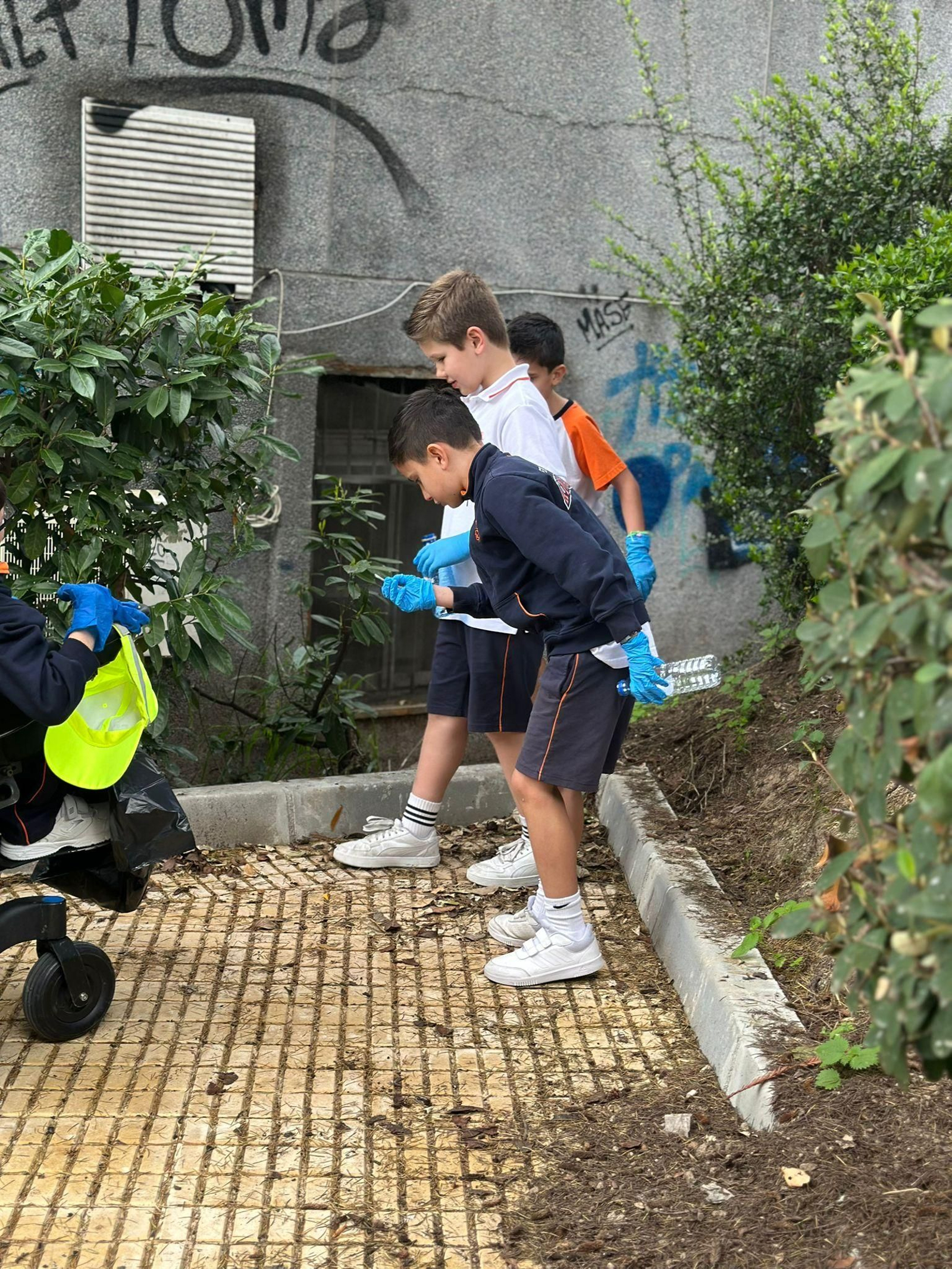 Actividad de Ecovigilantes