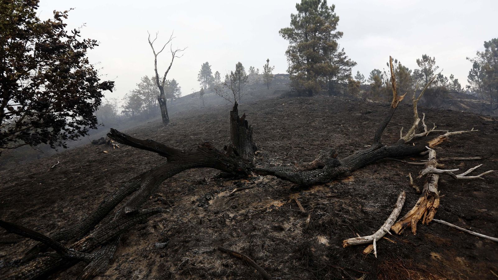 Rebordechao (Vilar de Barrio). 13/09/2020. Incendio forestal en A Serra de San Mamede cerca de Rebordechao, controlado ya. Foto: Xesús Fariñas