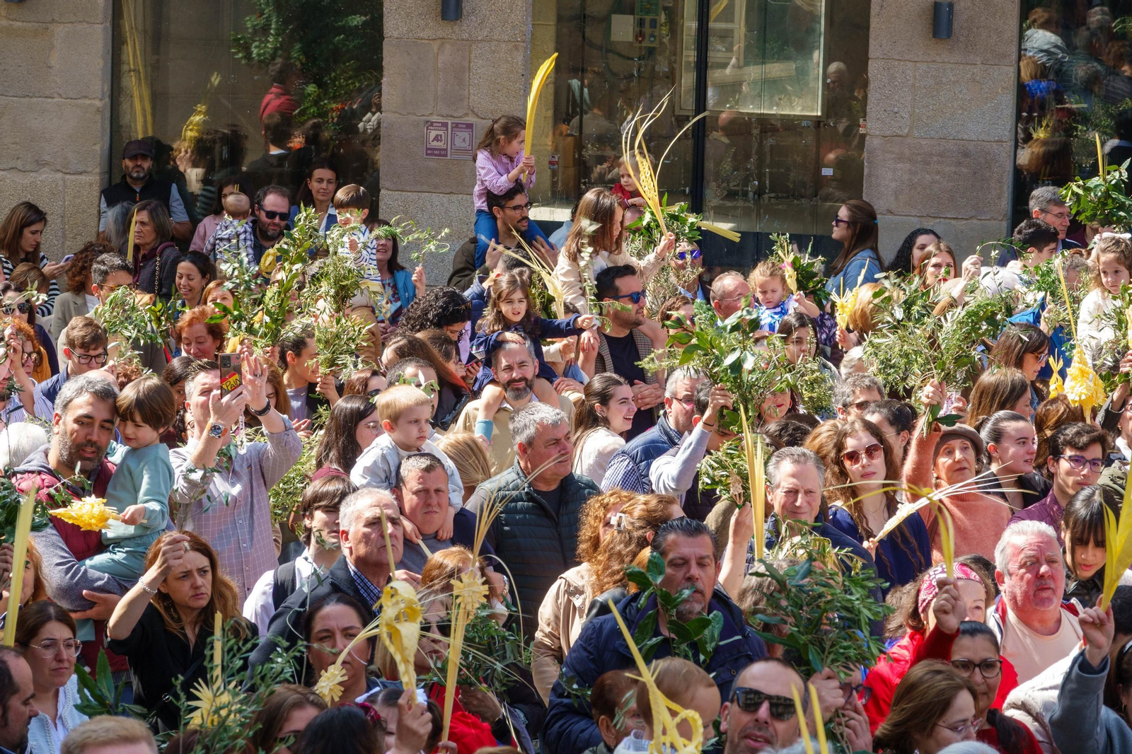 Galería | La procesión de la Borriquita 2025