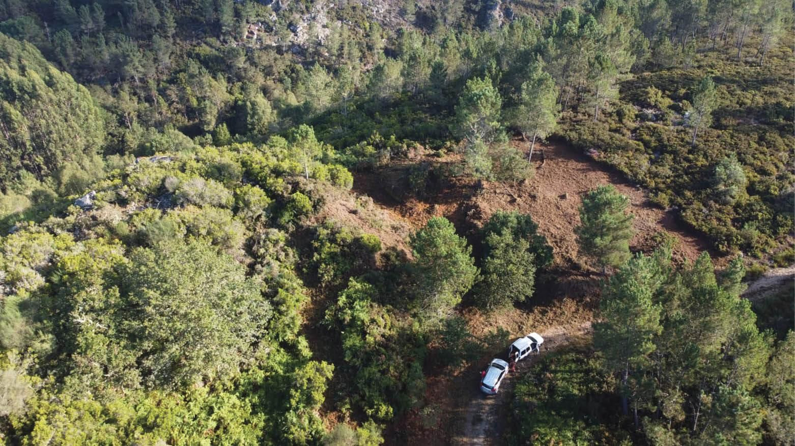 Vista aérea do foso do Castro de Magros, onde se está realizando o desbroce.