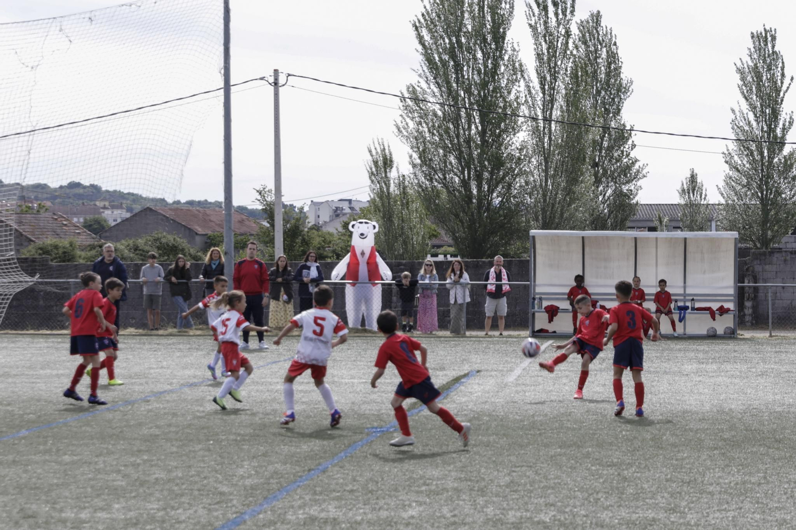 Galería | La fase intermedia del Campeonato Gallego de Fútbol 8 aterriza en Xinzo de Limia