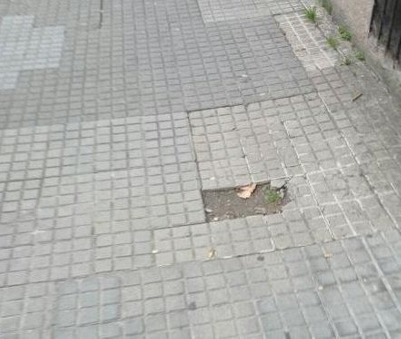 Desperfectos en la acera en la calle Xesús Pousa, en Ourense.