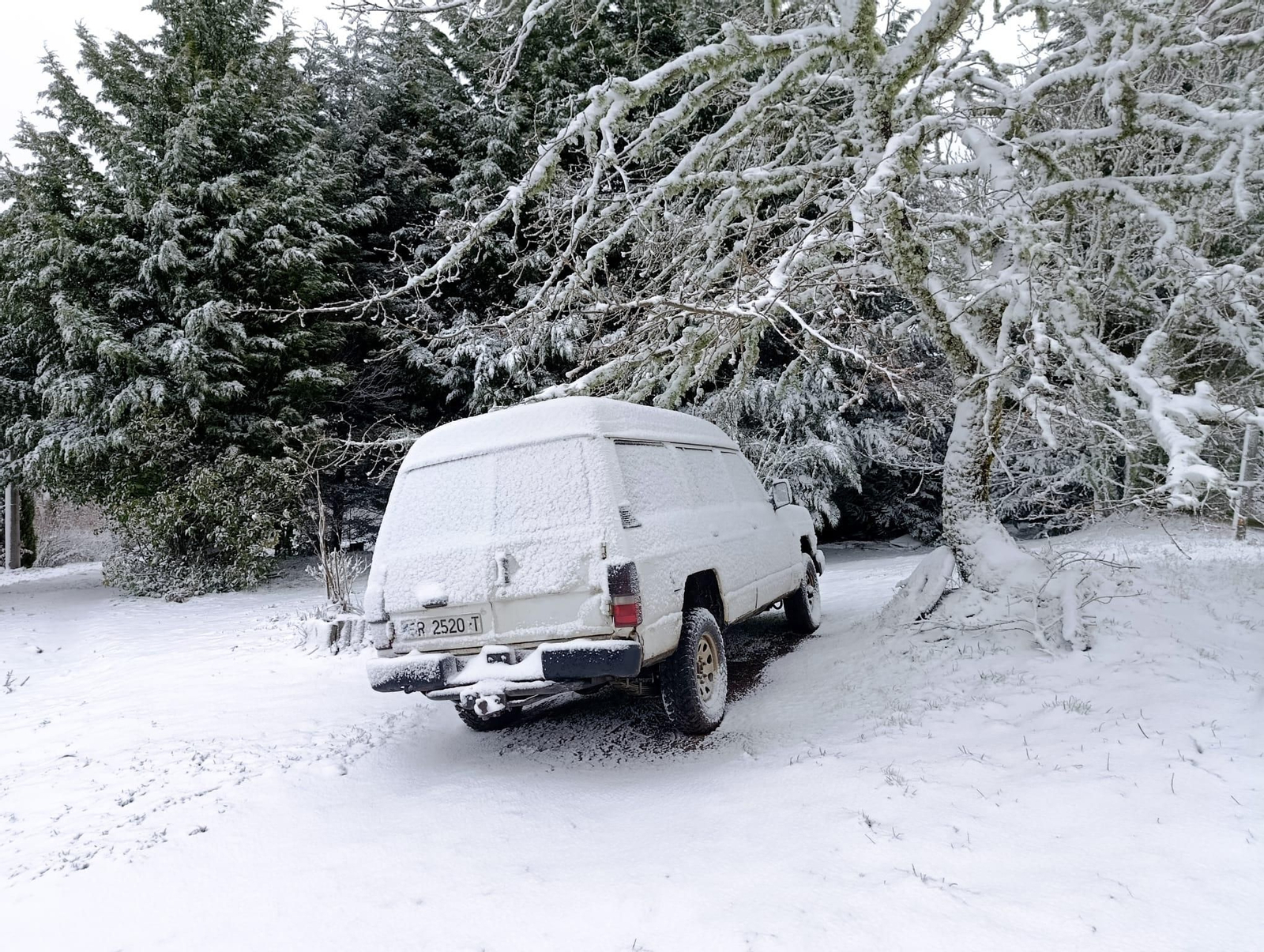 Galería | La borrasca Ingrid y la nieve pintan de blanco la provincia de Ourense, en imágenes