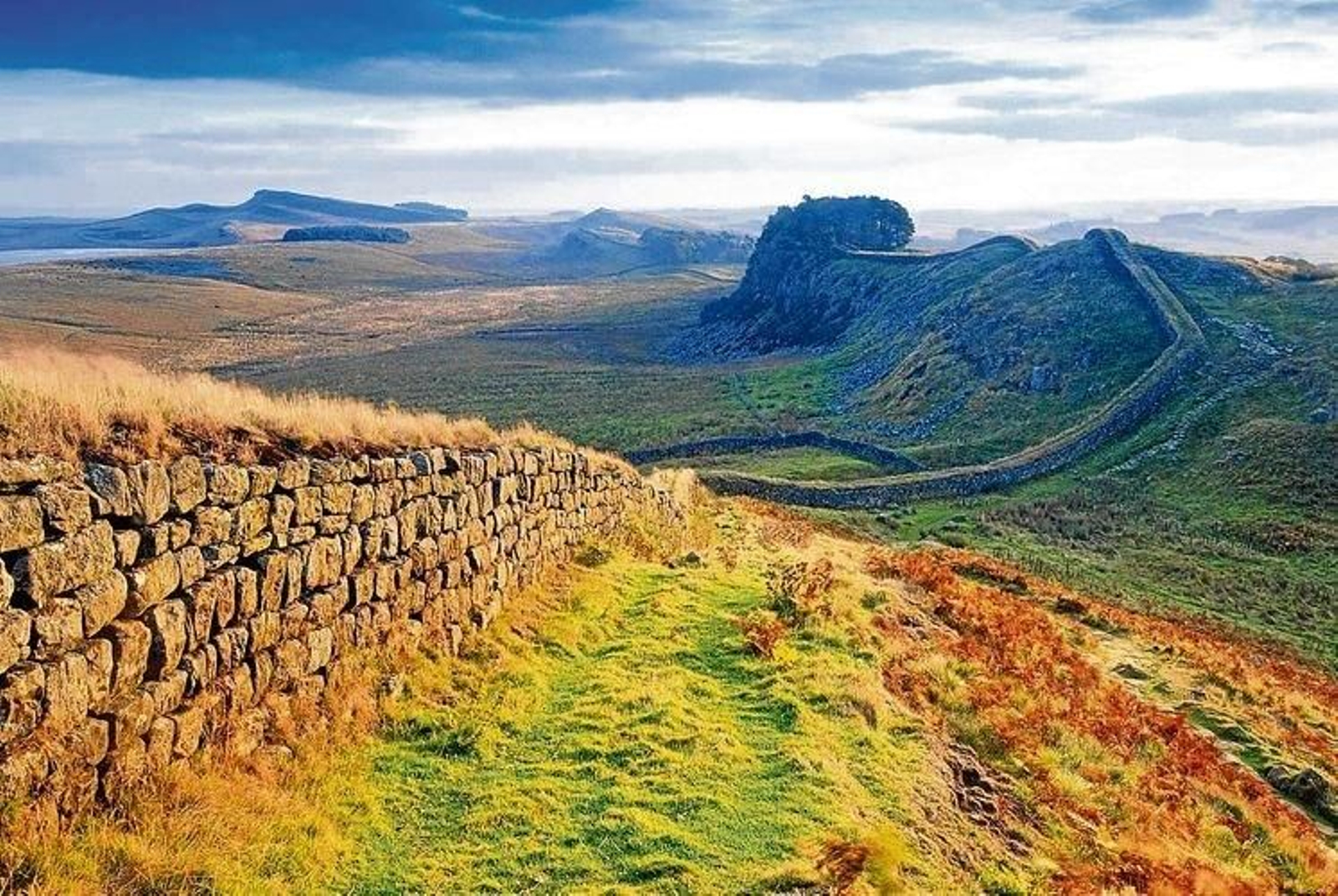 20161127230124437_result