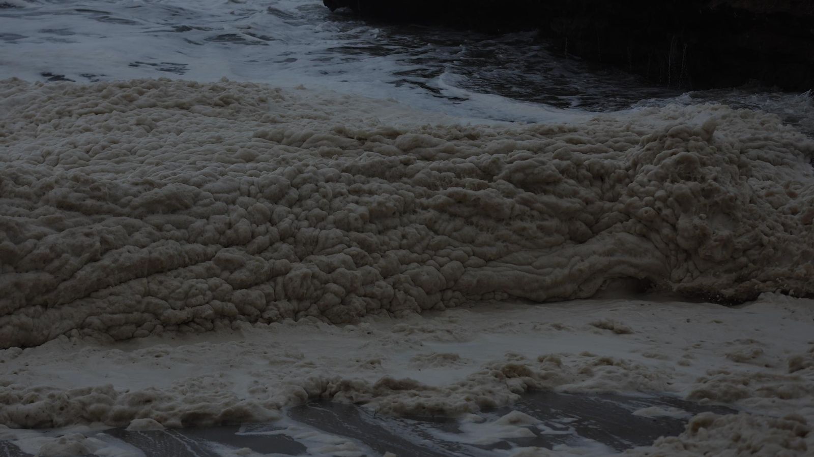 Espuma marina en la costa guardesa. // Alberte