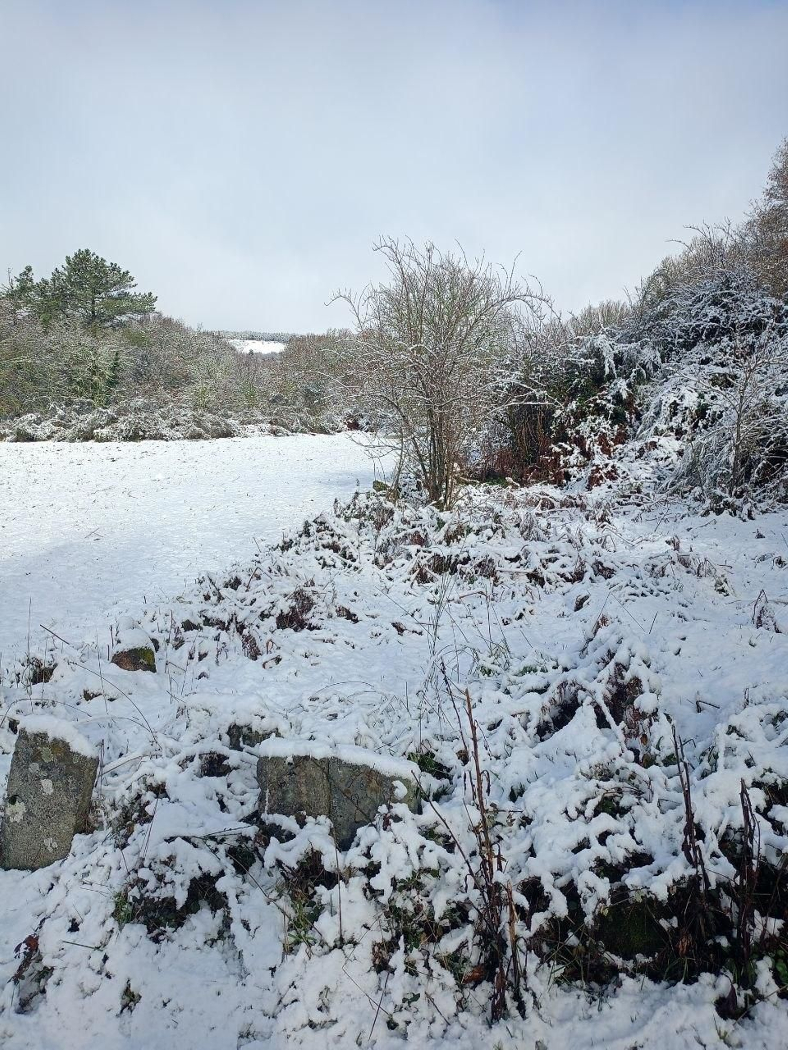 Galería | La nieve da la bienvenida al invierno en A Cañiza