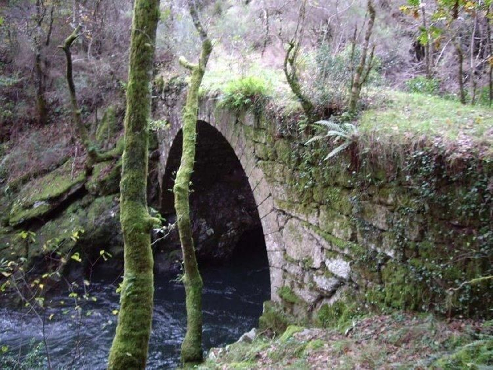 El puente de Parada de Cameixa será uno de los que se recuperarán en 2019.