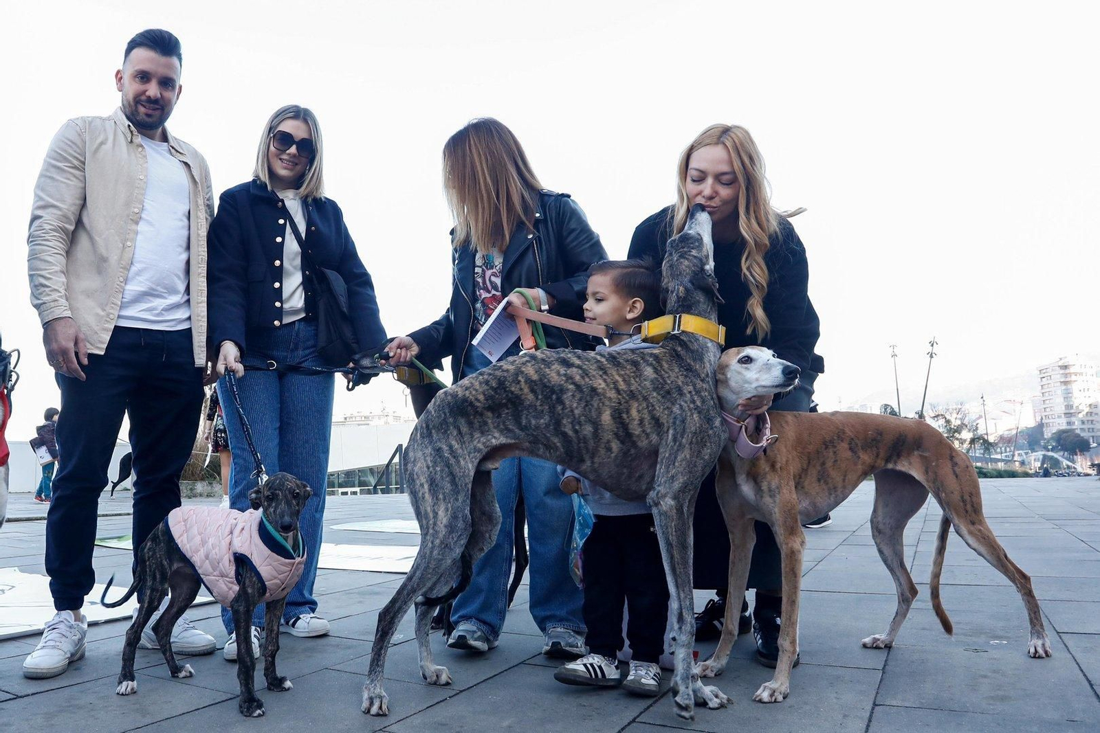 Manifestación en Vigo por los derechos de los animales.