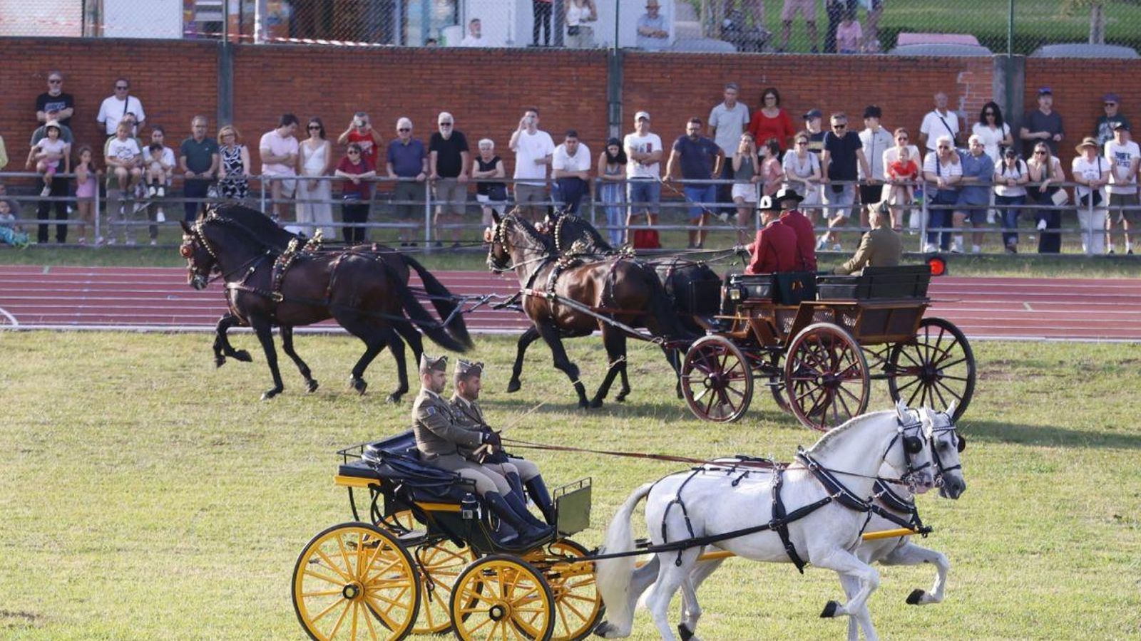 Caballería de Cría Caballar, en Écija, de pura raza española