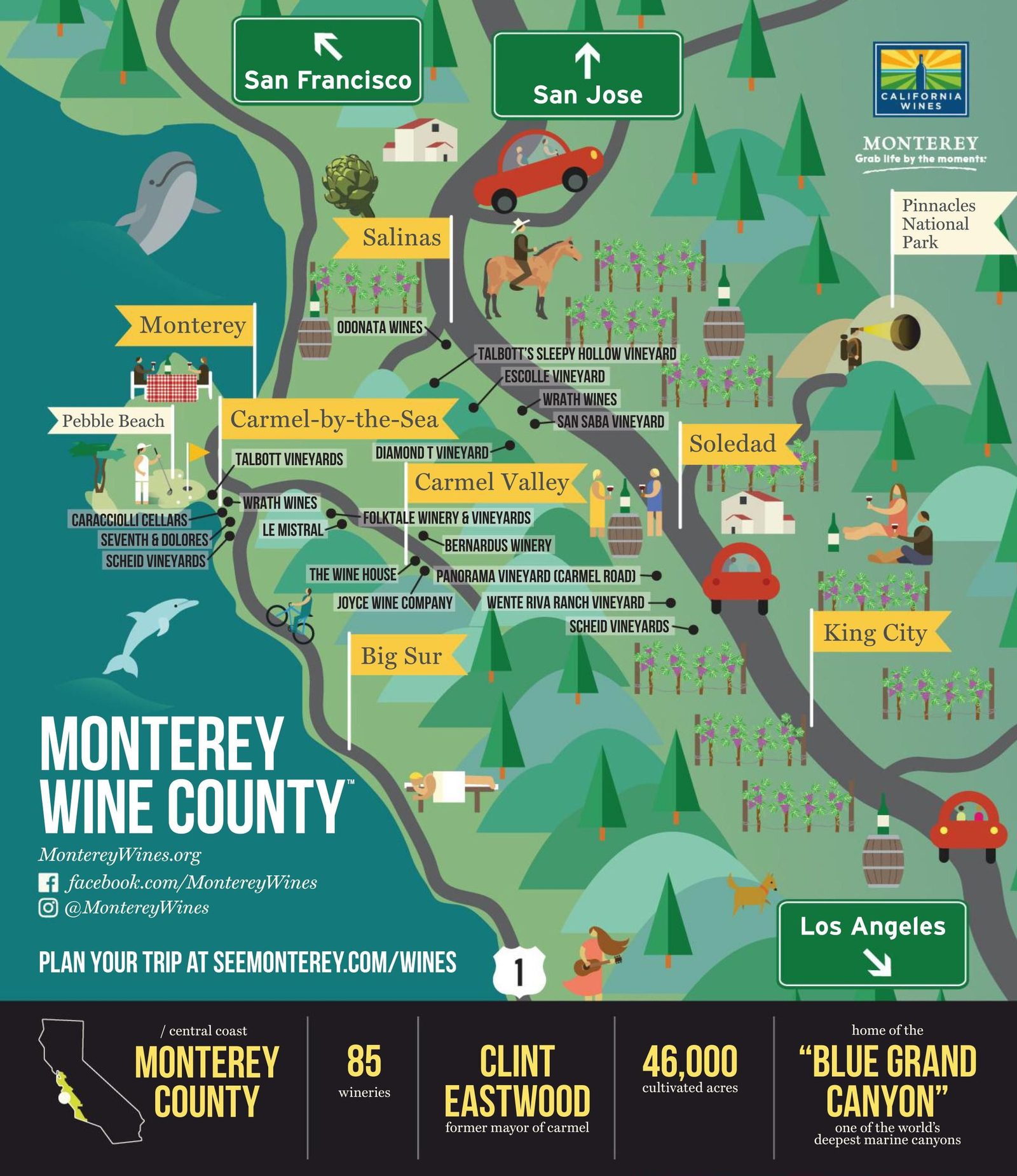Ruta do viño de Monterrey (México).