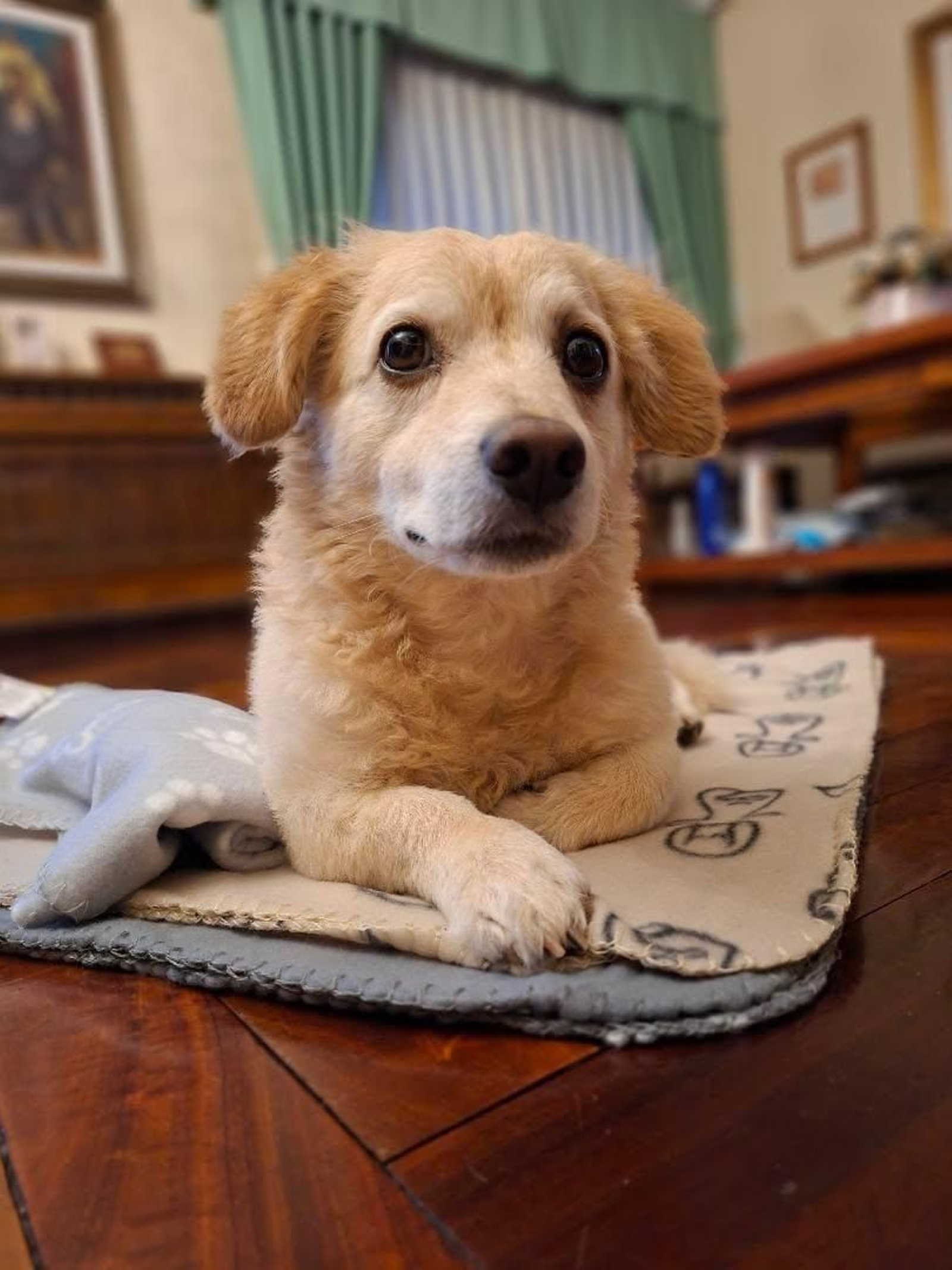 Max