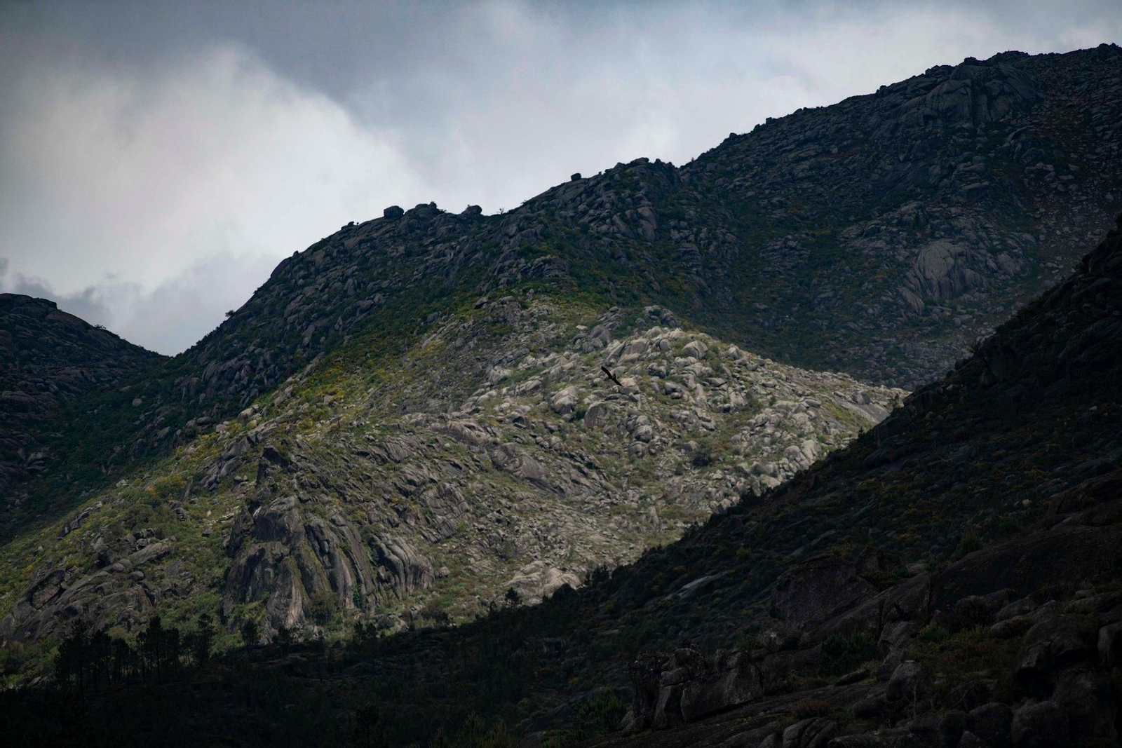 Olelas es uno de los lugares que en la historia ha tenido mucha relación con Portugal