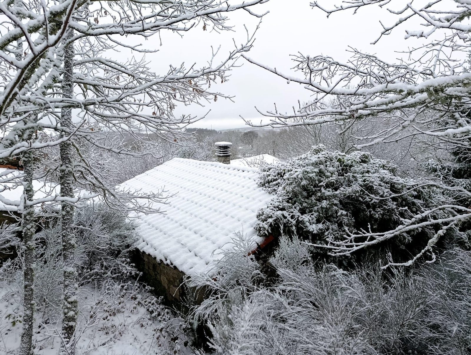 Galería | La borrasca Ingrid y la nieve pintan de blanco la provincia de Ourense, en imágenes