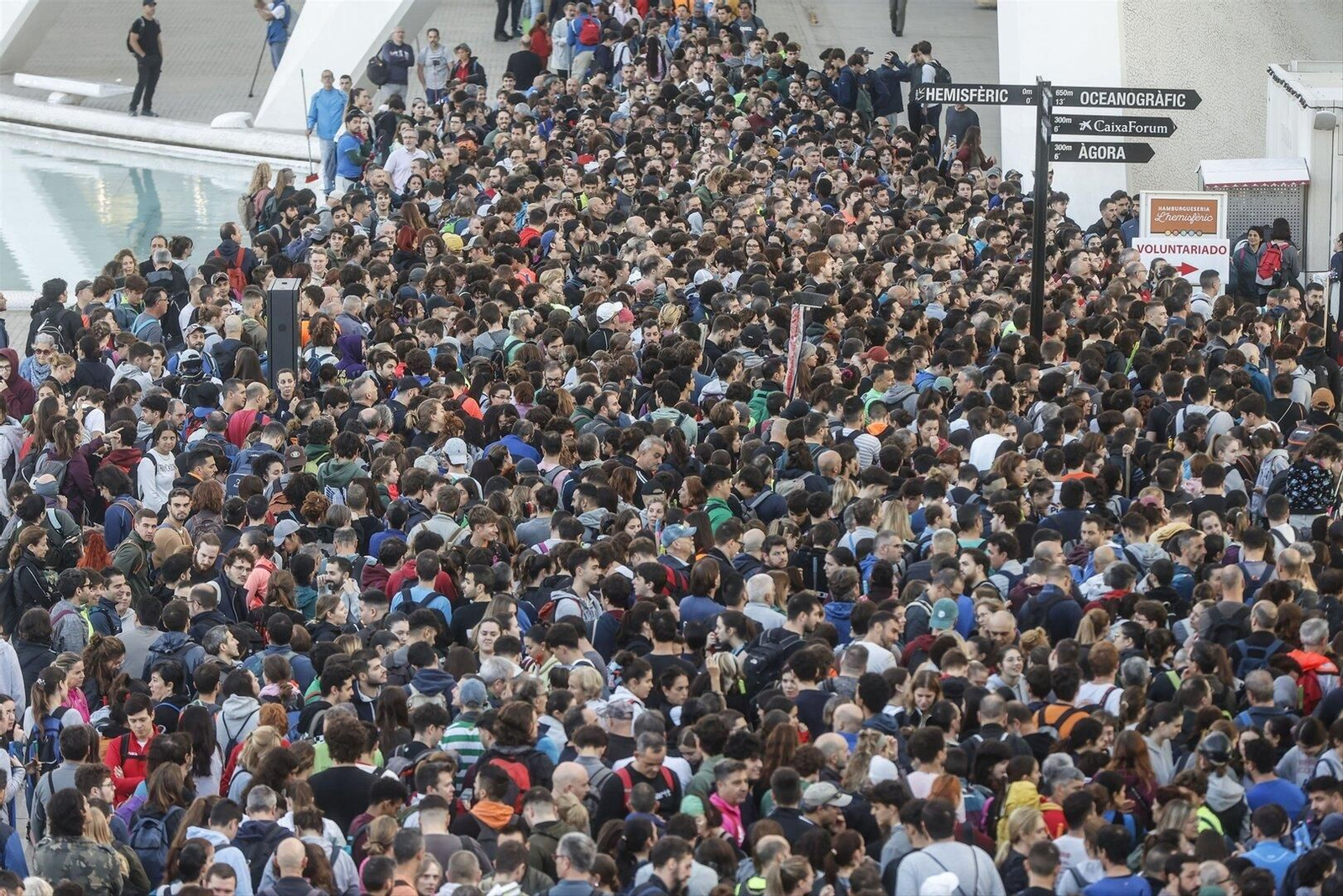 Cientos de voluntarios en la Ciudad de las Artes y las Ciencias, a 2 de noviembre de 2024. // EP