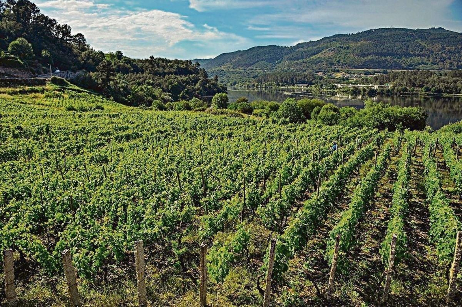 Agenda | ¿Qué hacer en Ourense hoy, martes 14 de mayo?